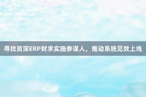 寻找资深ERP财求实施参谋人,推动系统见效上线